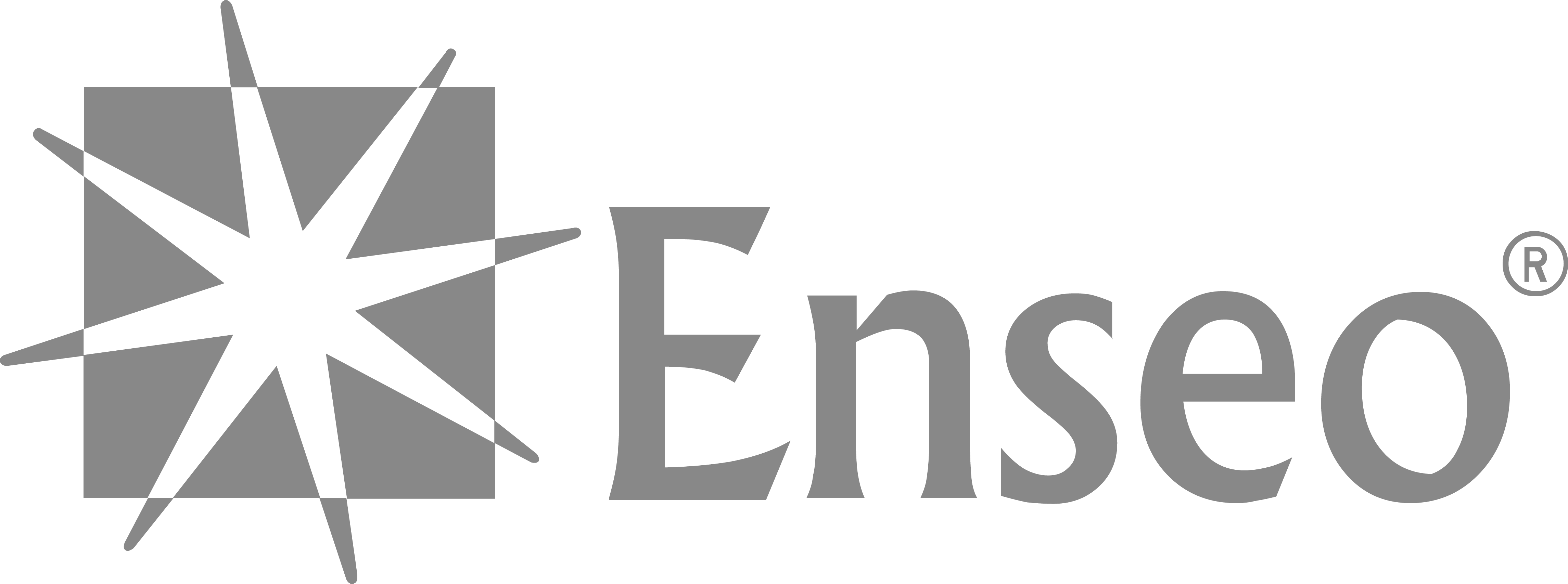 The Enseo Logo - The name Enseo with a star in a box on the left