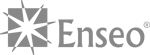 Enseo Logo Mid Gray-2